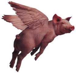 Pigs Fly